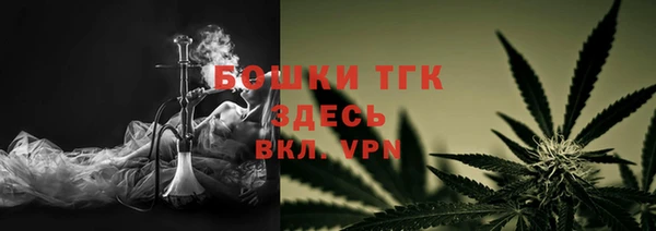 амф Дмитров