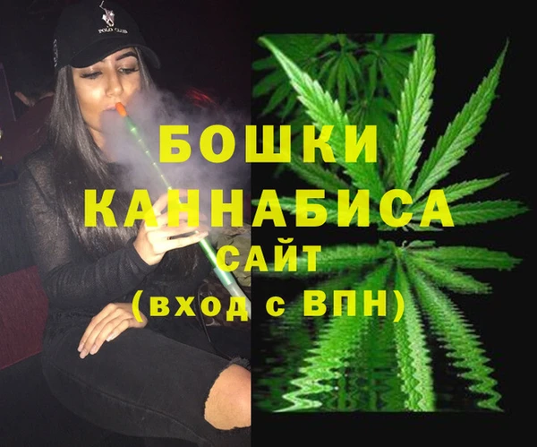прущий лед Дмитриев