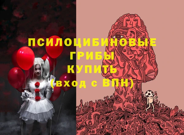 амф Дмитров