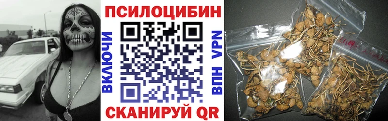 Псилоцибиновые грибы ЛСД  Купить  Россошь 